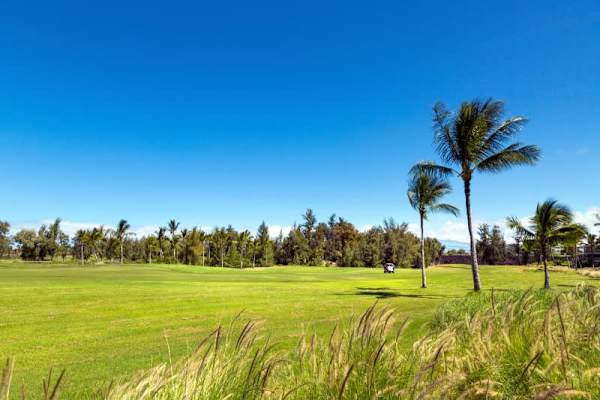 Waikoloa Beach Villas N23