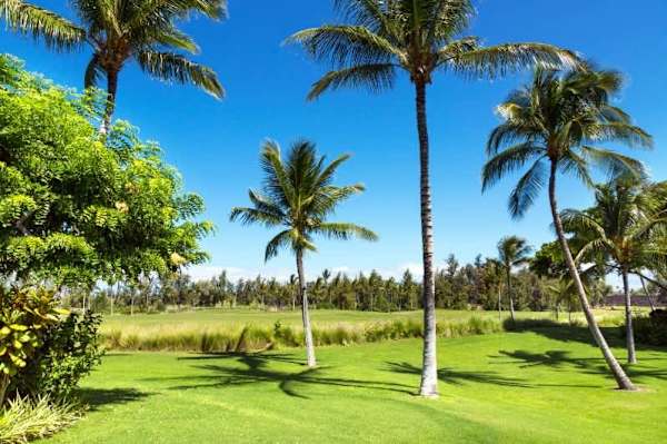 Waikoloa Beach Villas N23