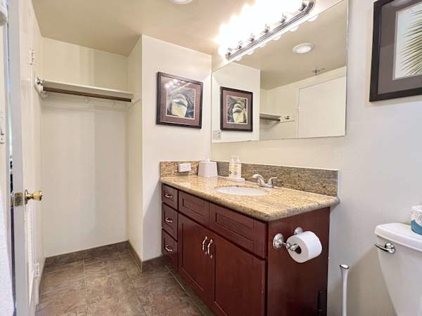 Full bathroom with vanity and cabinets