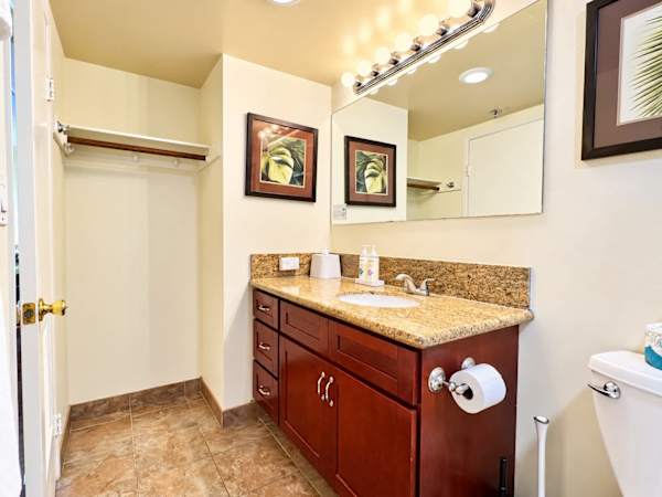 Full bathroom with vanity and cabinets