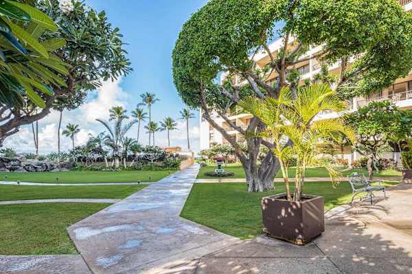 Sugar Beach Resort PH36
