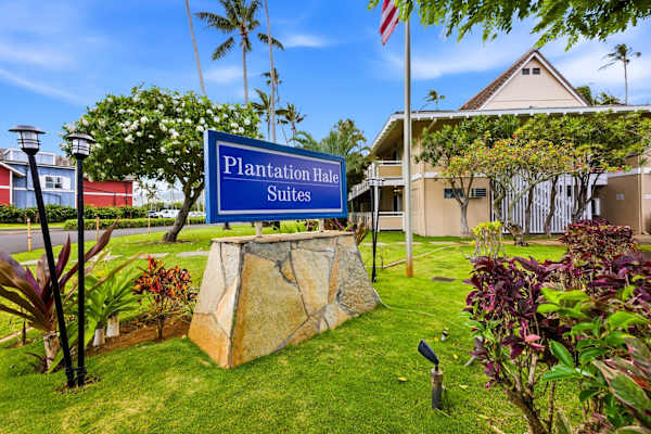 Plantation Hale D10