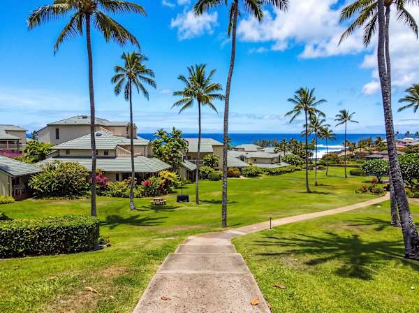 Manualoha 501 - Poipu