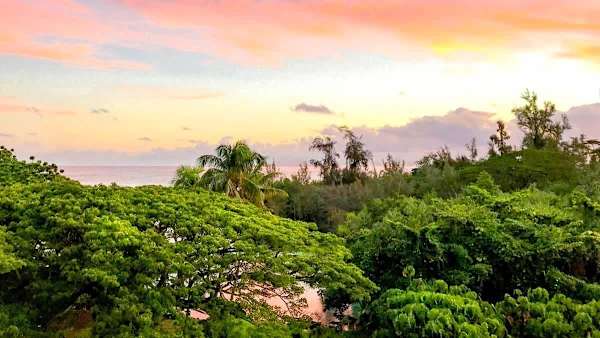 Maunaloa Shores 612