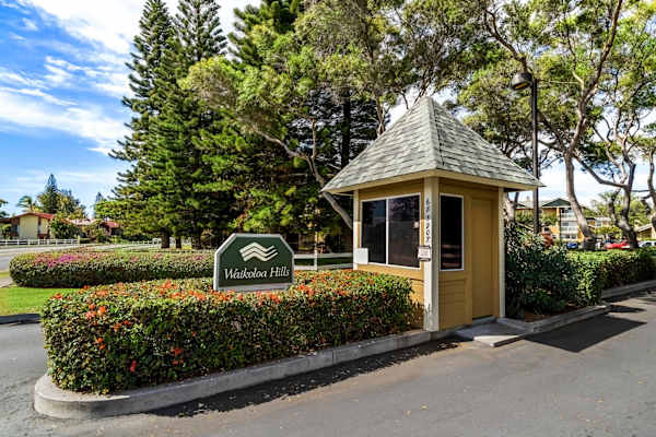 Waikoloa Hills #105 - Pineapple Paradise