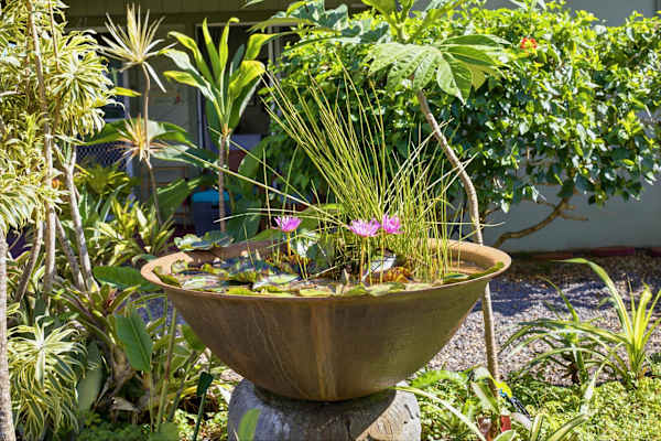 Garden Oasis at Puamana