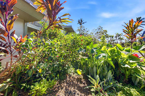 Garden Oasis at Puamana