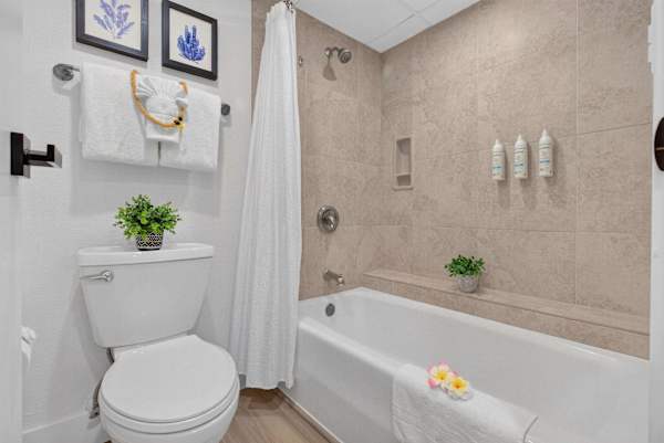 Ka'anapali Shores 361