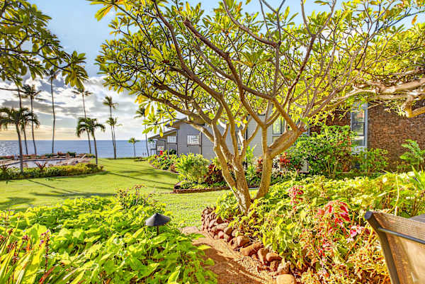 Mahina Surf 112