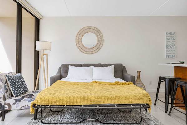 There is a pull-out sleeper sofa in the living area