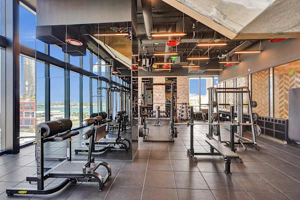 Luxury Miami Studio | City & Bay Views