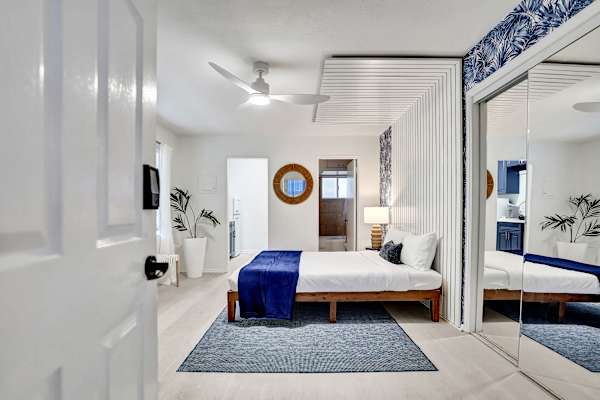 Full studio layout with mirrored closet and ceiling fan