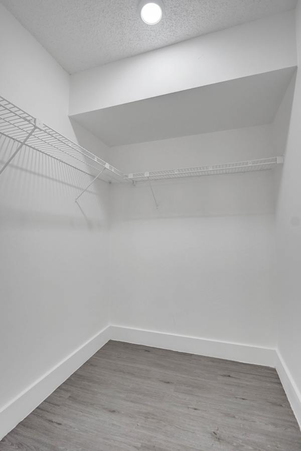 Park Towers 1BR Escape Near Hard Rock