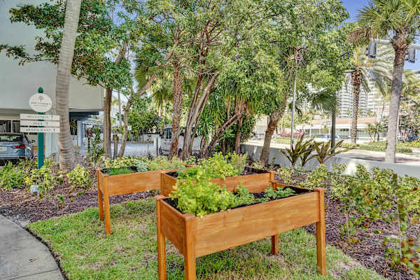 Botanica King Stay w/ Sofa Bed at Ocean Blvd