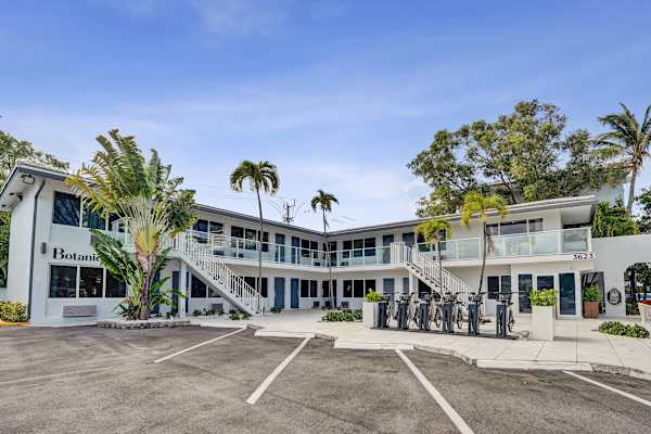 Aloe King Stay at Ocean Blvd | The Botanica