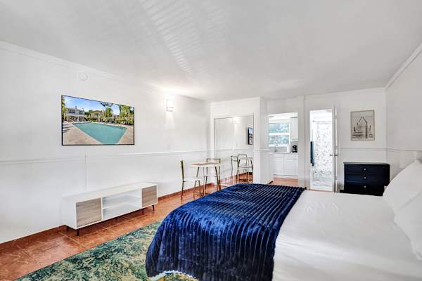 Studio bedroom with wall-mounted TV and bright windows