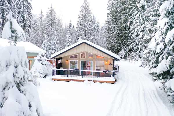 Mountain Cabin in the Snow!