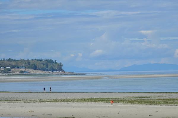 Kye Bay sandy beach at your back door. 