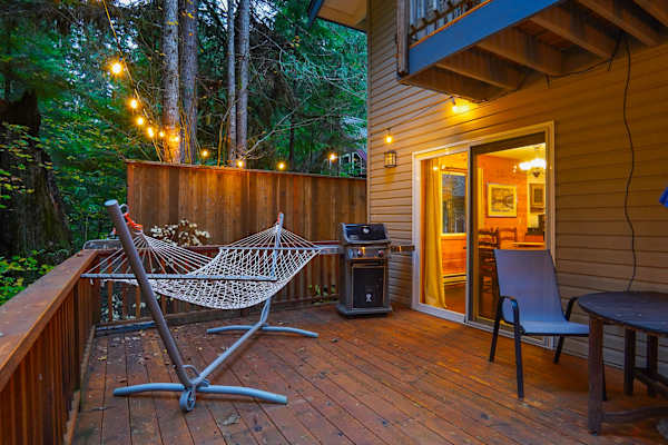 Bel Chalet Mt Baker Forest Retreat with Covered Hot Tub and Fireplace, photo 4 of 38
