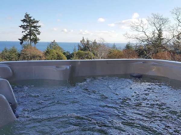 Arbutus Hill
