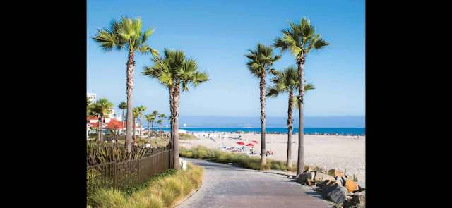 Beach & Coast