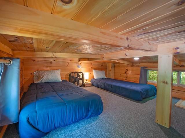 Low ceiling loft (4ft) twin beds. Great for kids!