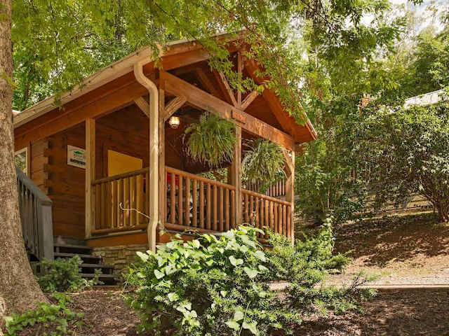 Ani Cabin