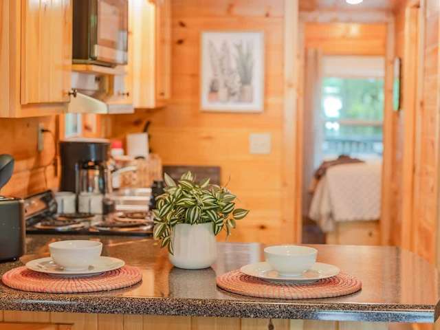 Ani Cabin