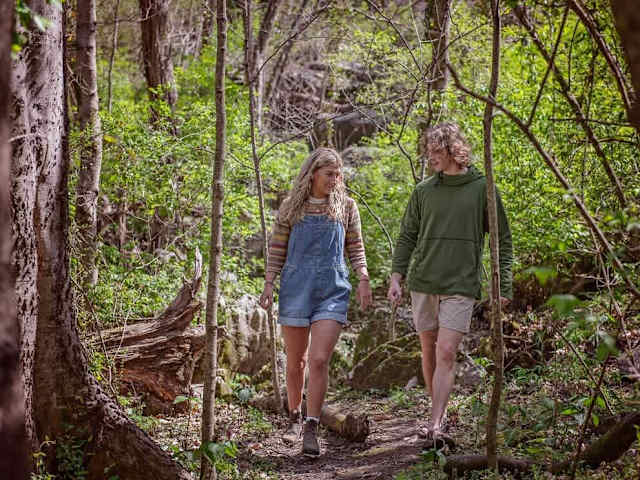 There are several beautiful short trails to explore right on Wauhatchie Woodlands property.