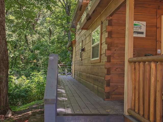 Sophie Cabin