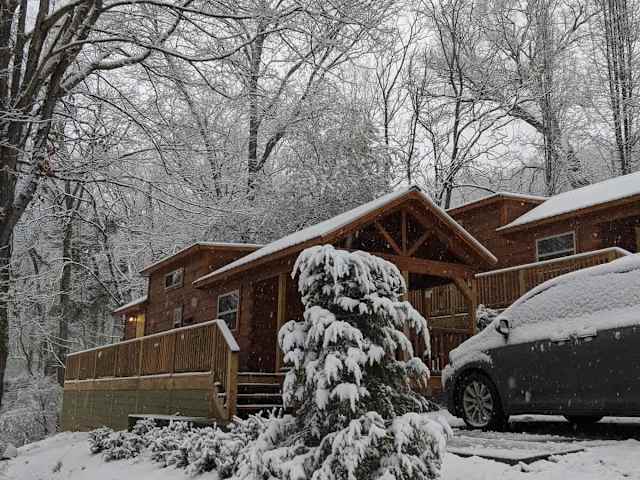 Sophie Cabin