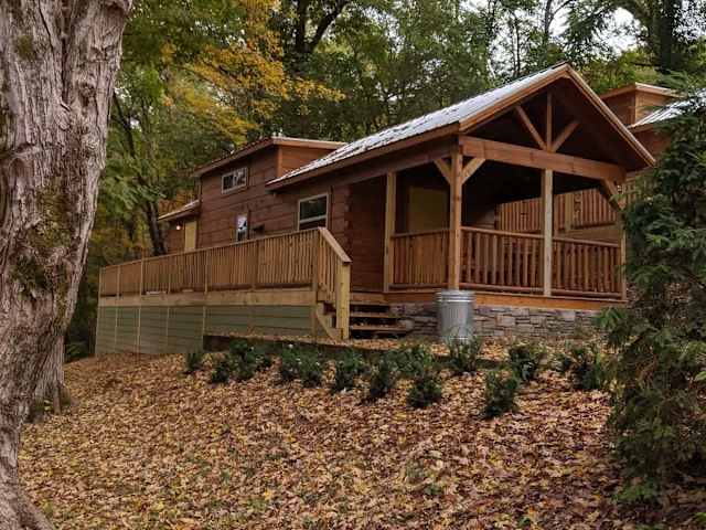 Sophie Cabin