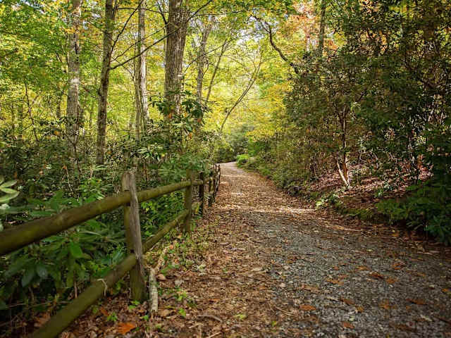 Blue Ridge Bungalow - Amazing Views of the Smokies