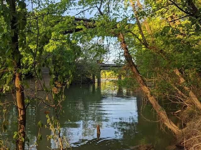 Lookout Creek runs the length of the Wauhatchie Woodlands property.