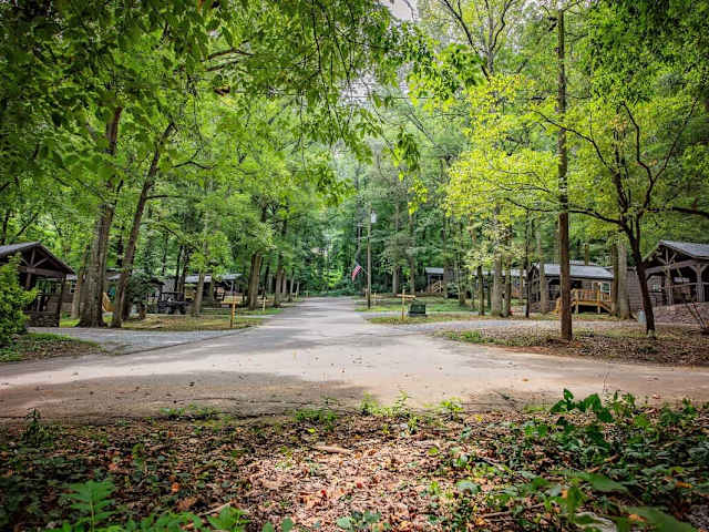 Lynda Cabin