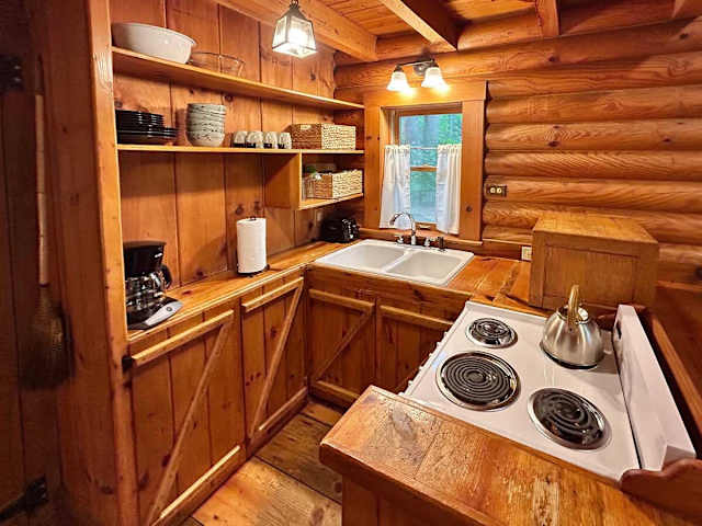 Ocoee Cabin 