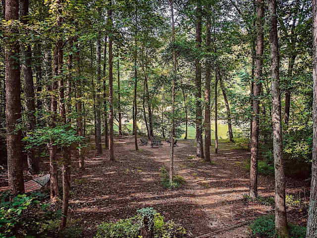 The Pines Cabin