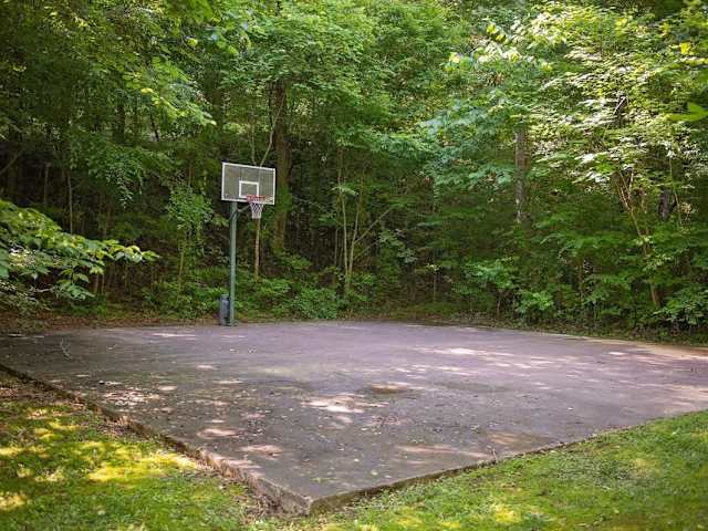 Shared basketball court