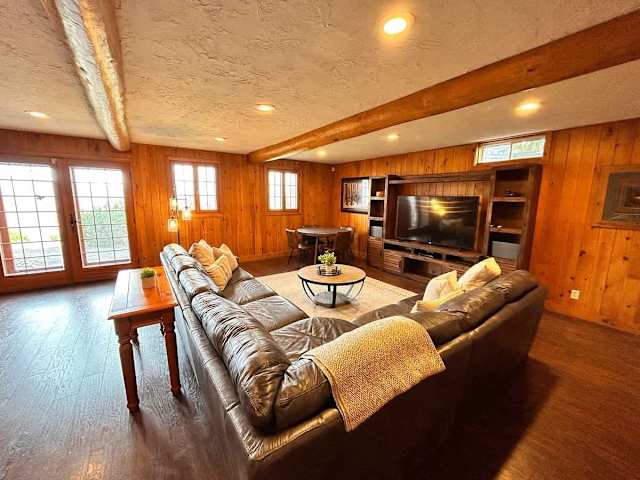 Basement Living Room