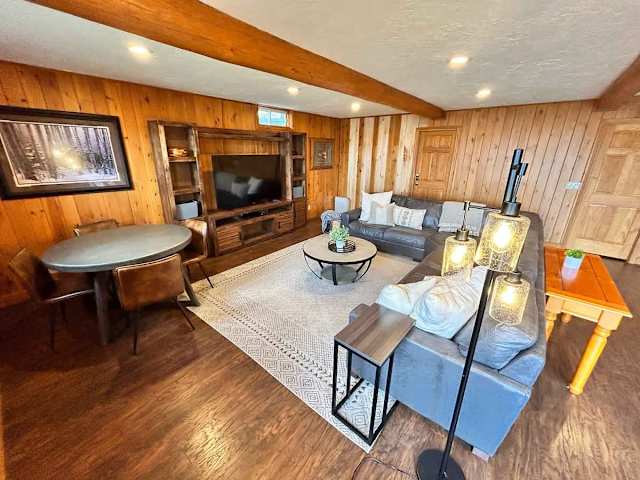 Basement Living Room