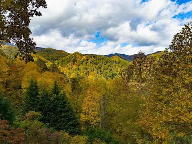 View from the Deck