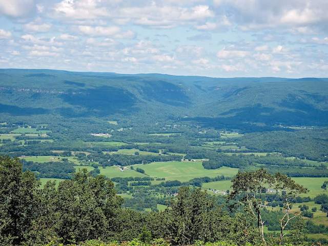 Deep Creek - Tiny Home with Mountain Views