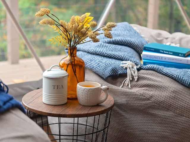 Eagle's Nest Luxury Glamping Dome