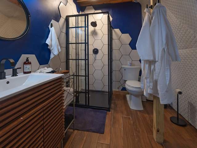 Eagle's Nest Luxury Glamping Dome