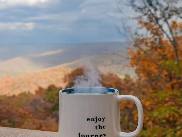 Eagle's Nest Luxury Glamping Dome