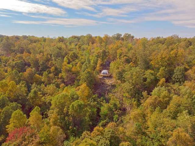 Eagle's Nest Luxury Glamping Dome