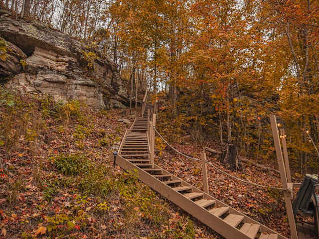 Eagle's Nest Luxury Glamping Dome