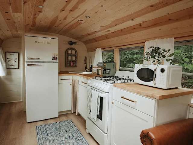 The Snuggle Bus Skoolie