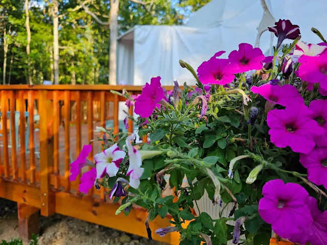 Highwater Hideaway Dome by Kentucky Lake