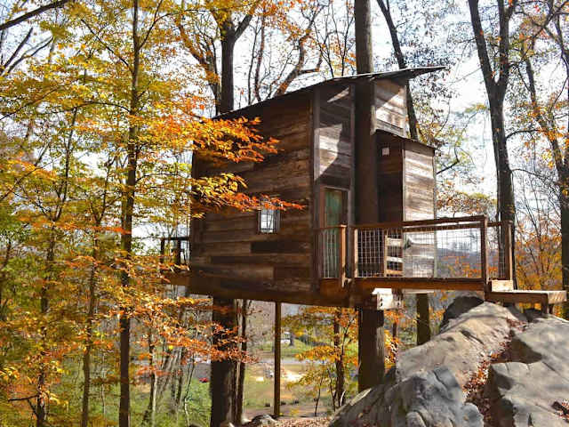 Luna Loft Treehouse 